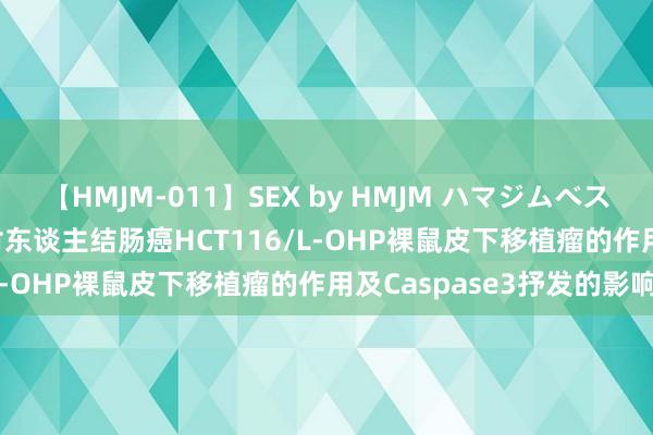 【HMJM-011】SEX by HMJM ハマジムベスト09 6時間 健脾解毒方对东谈主结肠癌HCT116/L-OHP裸鼠皮下移植瘤的作用及Caspase3抒发的影响