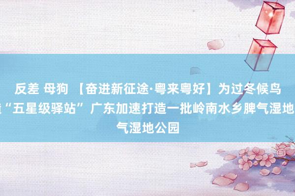 反差 母狗 【奋进新征途·粤来粤好】为过冬候鸟营造“五星级驿站” 广东加速打造一批岭南水乡脾气湿地公园