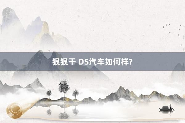 狠狠干 DS汽车如何样?