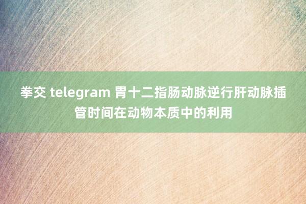 拳交 telegram 胃十二指肠动脉逆行肝动脉插管时间在动物本质中的利用