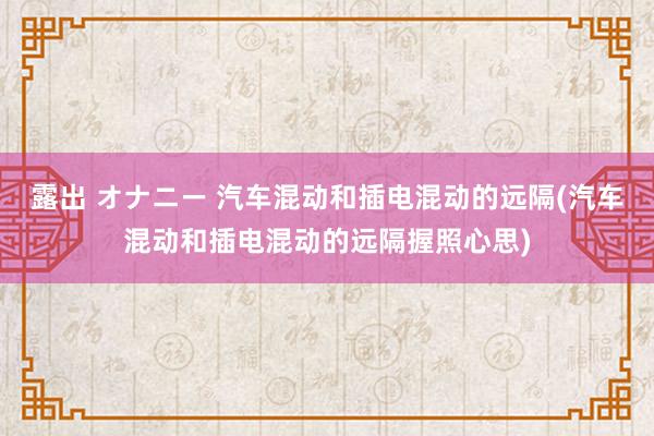 露出 オナニー 汽车混动和插电混动的远隔(汽车混动和插电混动的远隔握照心思)