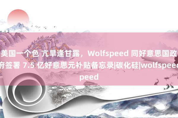 美国一个色 亢旱逢甘露，Wolfspeed 同好意思国政府签署 7.5 亿好意思元补贴备忘录|碳化硅|wolfspeed