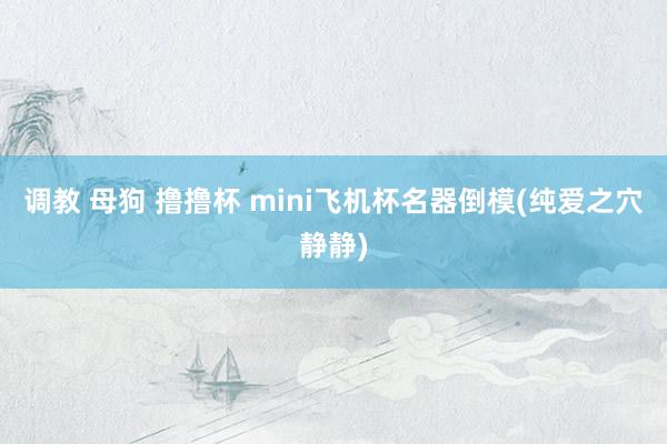 调教 母狗 撸撸杯 mini飞机杯名器倒模(纯爱之穴静静)