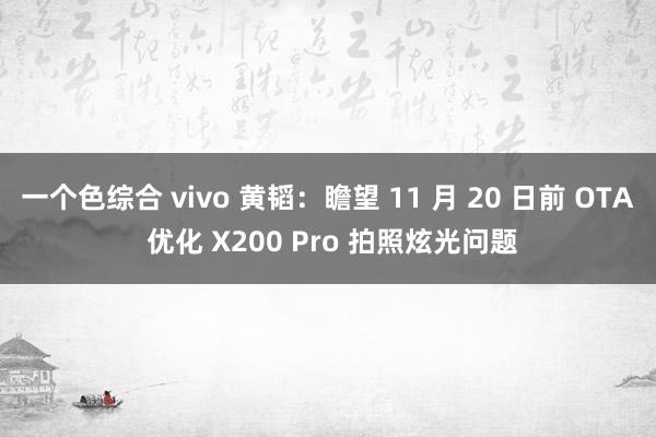 一个色综合 vivo 黄韬：瞻望 11 月 20 日前 OTA 优化 X200 Pro 拍照炫光问题