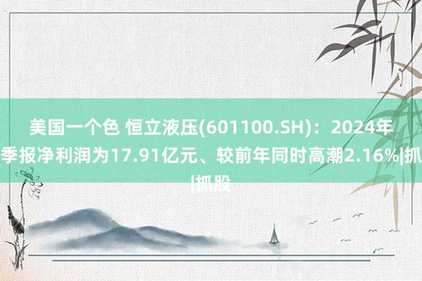 美国一个色 恒立液压(601100.SH)：2024年三季报净利润为17.91亿元、较前年同时高潮2.16%|抓股