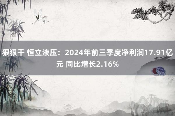 狠狠干 恒立液压：2024年前三季度净利润17.91亿元 同比增长2.16%