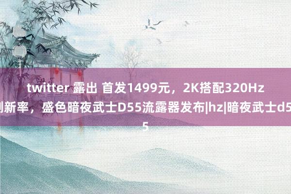 twitter 露出 首发1499元，2K搭配320Hz刷新率，盛色暗夜武士D55流露器发布|hz|暗夜武士d55