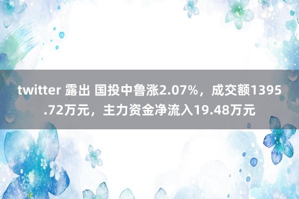 twitter 露出 国投中鲁涨2.07%，成交额1395.72万元，主力资金净流入19.48万元