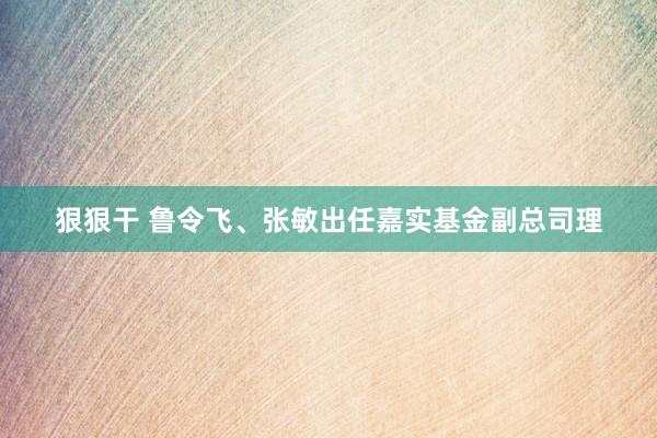 狠狠干 鲁令飞、张敏出任嘉实基金副总司理