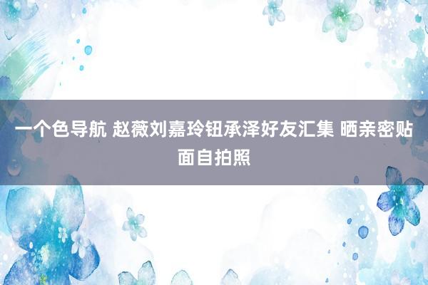 一个色导航 赵薇刘嘉玲钮承泽好友汇集 晒亲密贴面自拍照